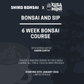 6 Week Beginners Bonsai Course - Starting 20th January 2026