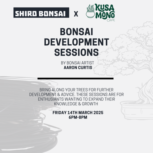 Bonsai Development Session - 14th March 2025
