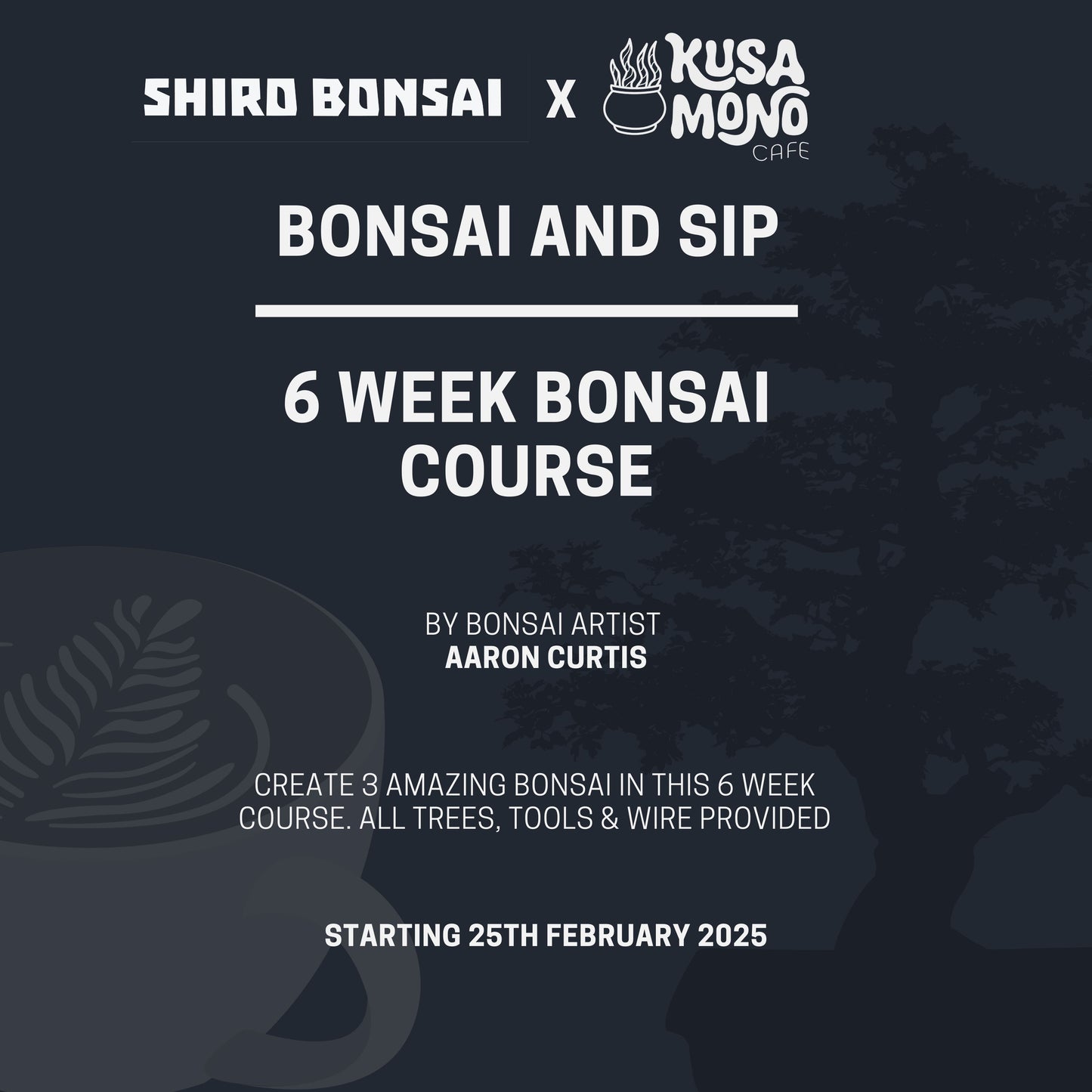 6 Week Beginners Bonsai Course - Starting 25th February 2025