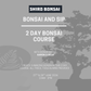2 Day Bonsai Course - 27th & 28th June