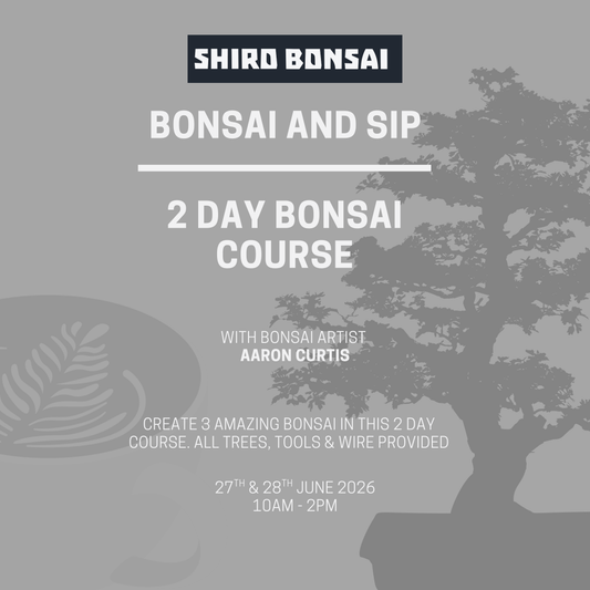 2 Day Bonsai Course - 27th & 28th June