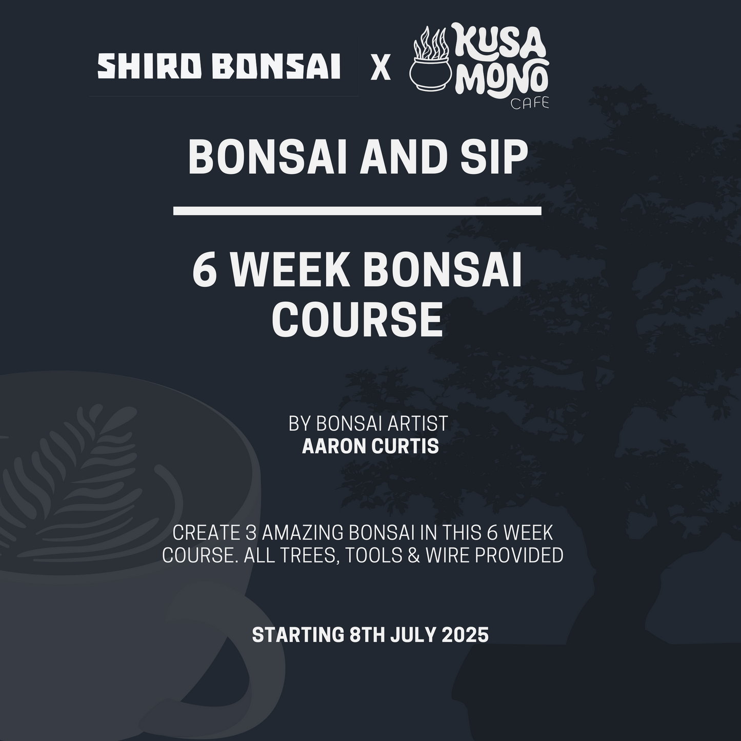 6 Week Beginners Bonsai Course - Starting 8th July 2025