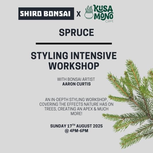 Styling Intensive Workshop- 17th August