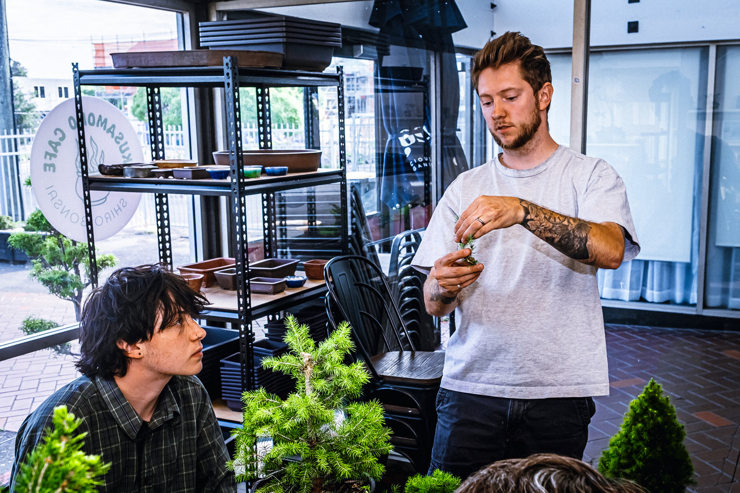 6 Week Beginners Bonsai Course - Starting January 7th 2025