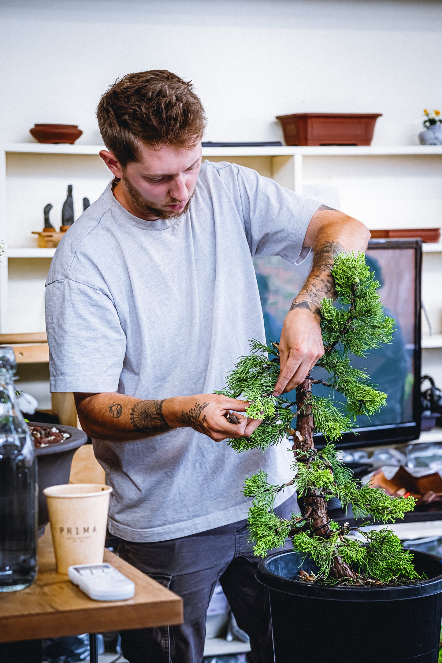 Bonsai Basics with Aaron - 26th April