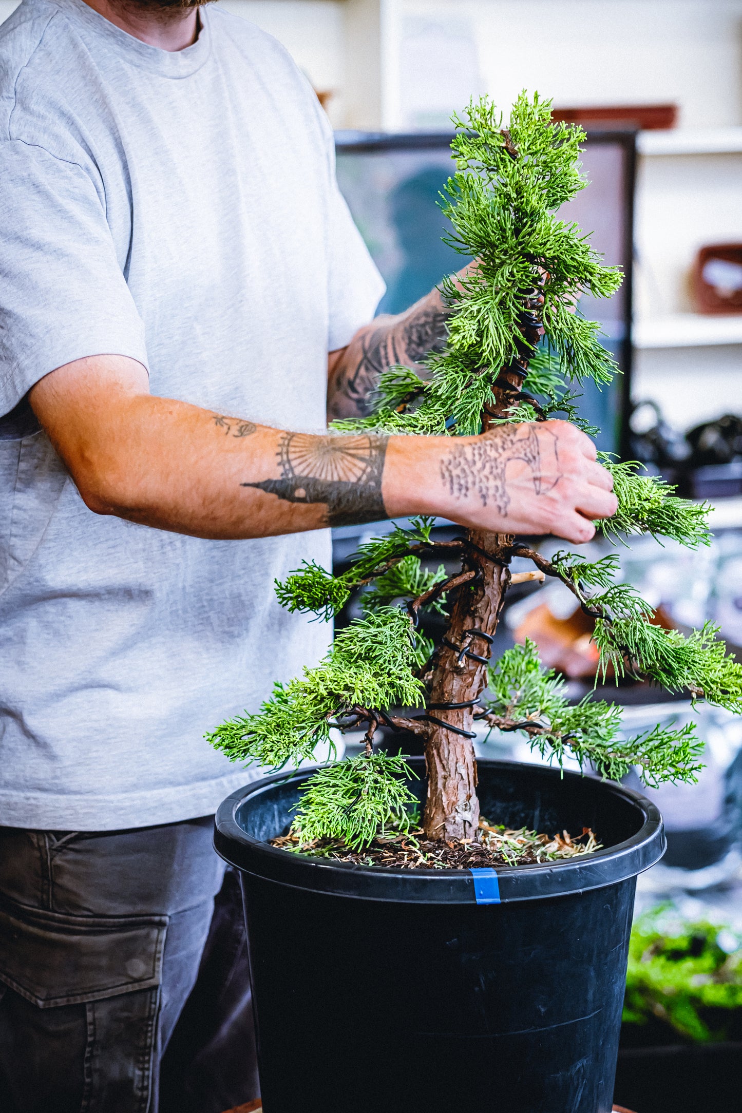 Bonsai Basics with Aaron - 26th April