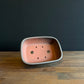 Yixing Ceramic Pot 20cm