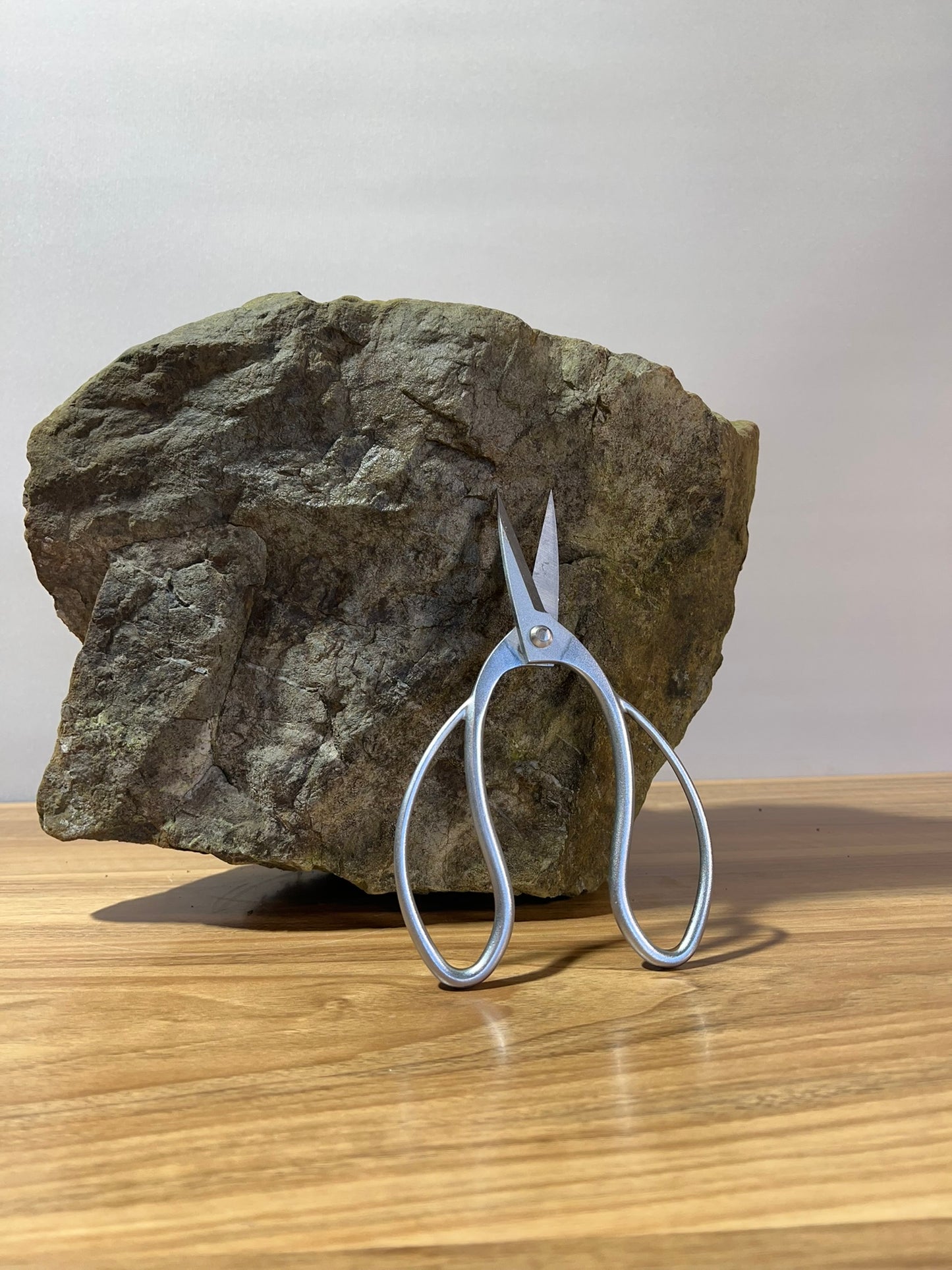 Wide Handle Stainless Steel Scissors