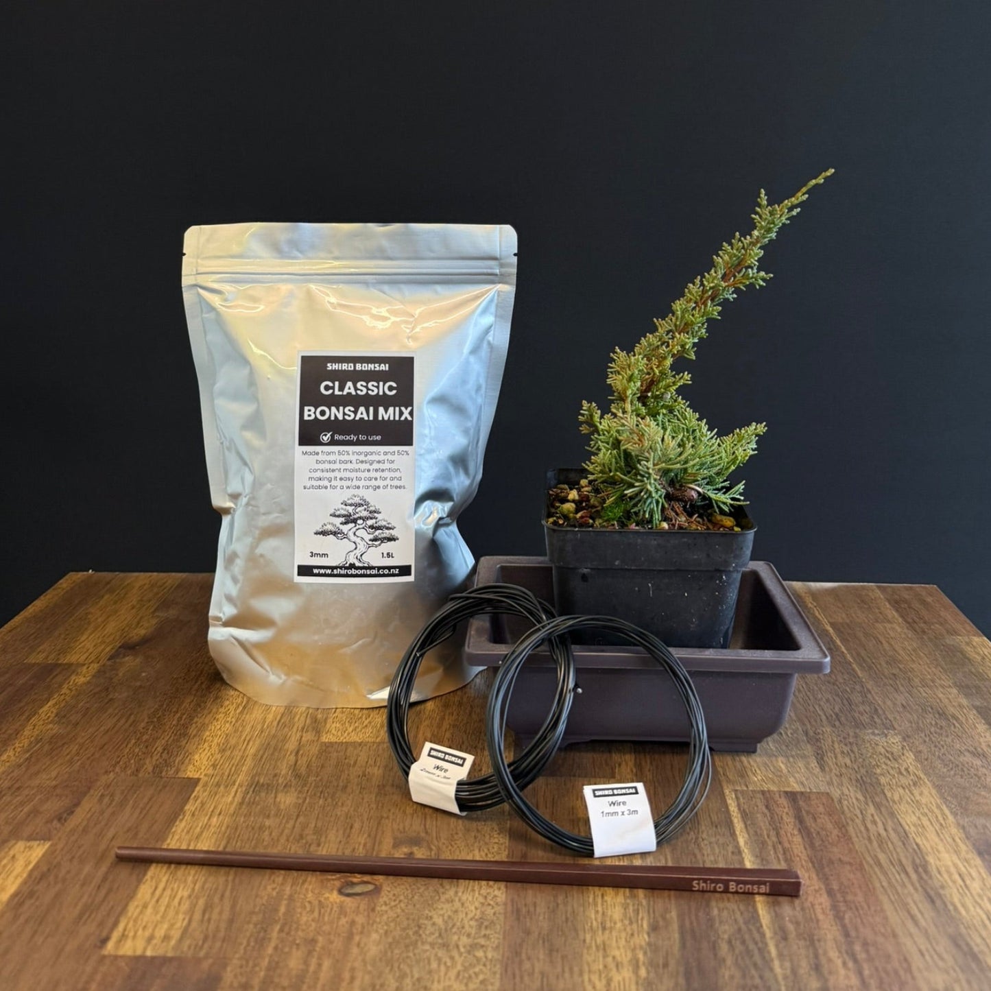 DIY Juniper Bonsai Kit