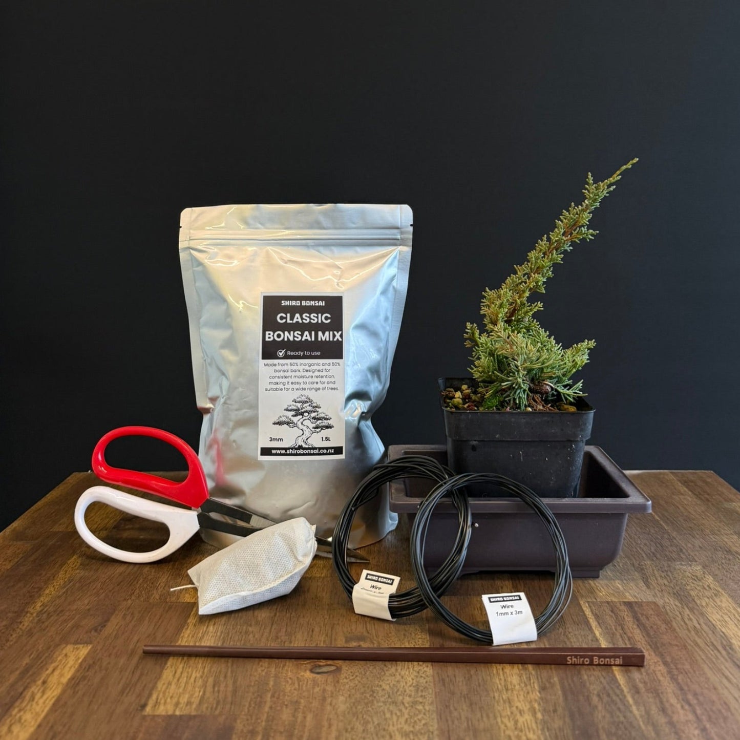 DIY Juniper Bonsai Kit