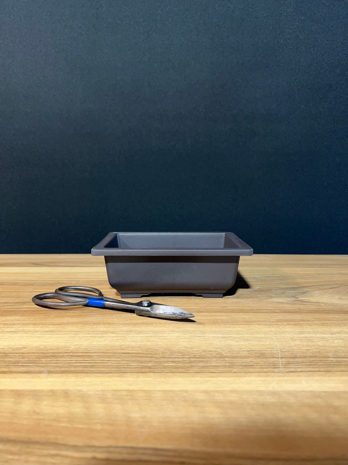 Plastic Bonsai Training Pot 16cm