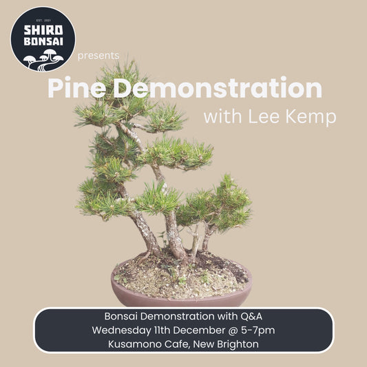 Pine Demonstration with Lee Kemp