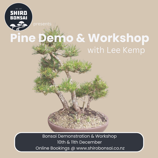 Pine Demo & Workshop with Lee Kemp