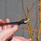 WAZAKURA Concave Branch Cutter -Made in Japan