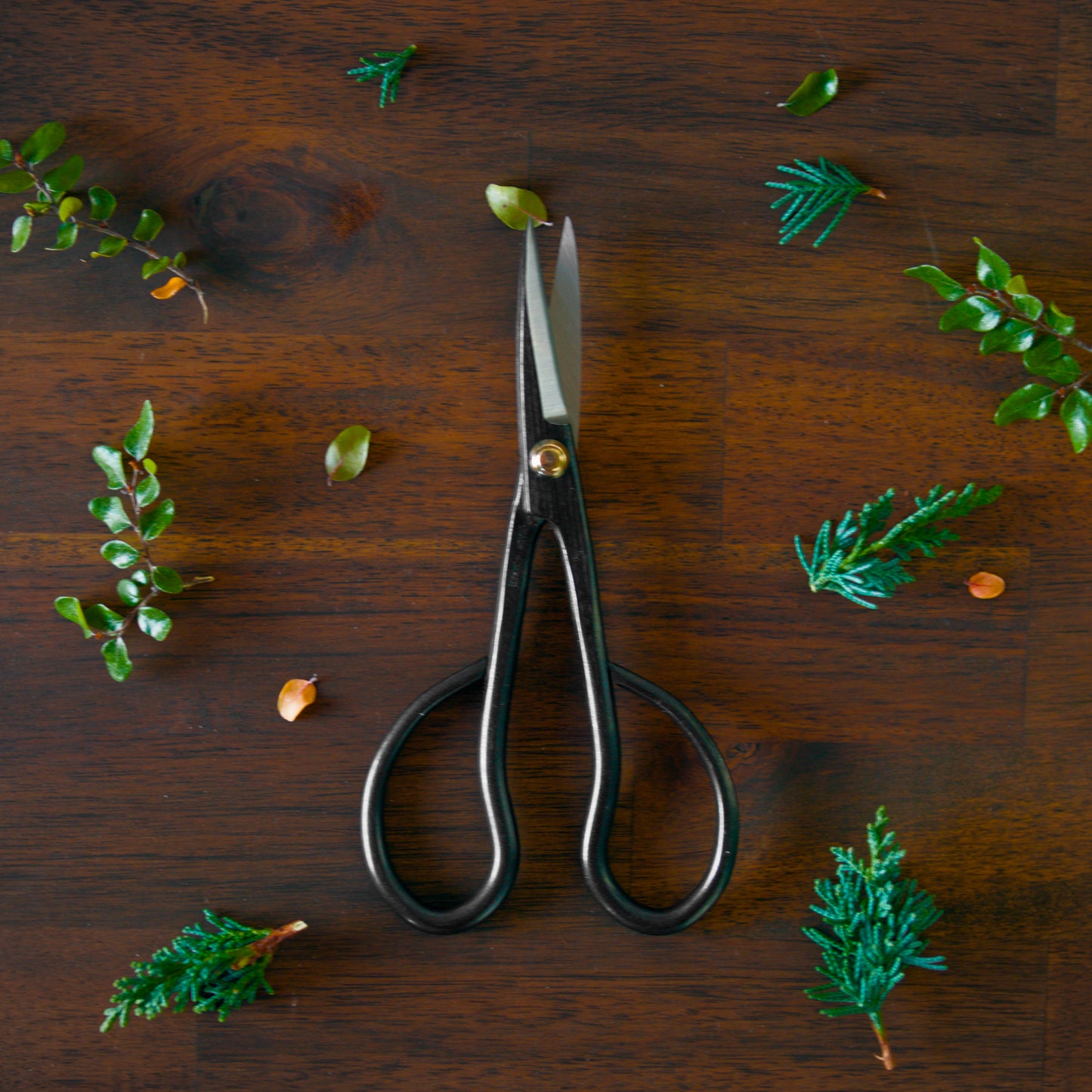 KIKUWA Satsuki Scissors S -Made in Japan