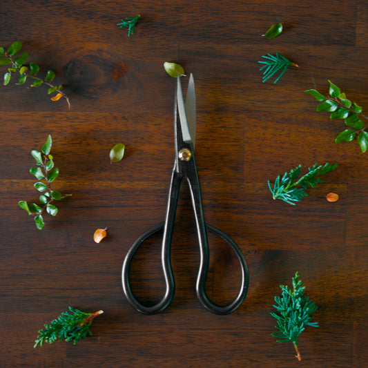 KIKUWA Satsuki Scissors S -Made in Japan