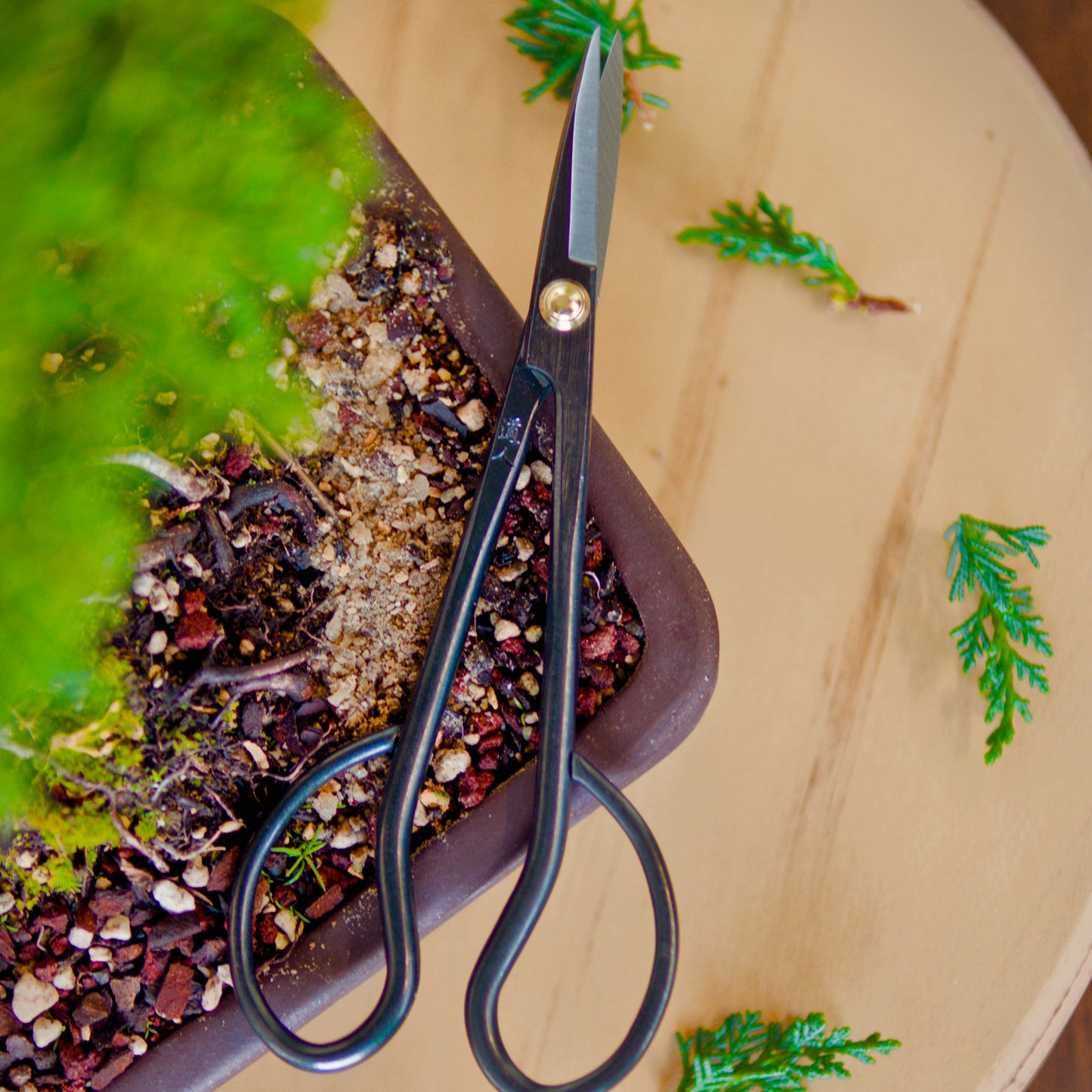 KIKUWA Satsuki Scissors L -Made in Japan