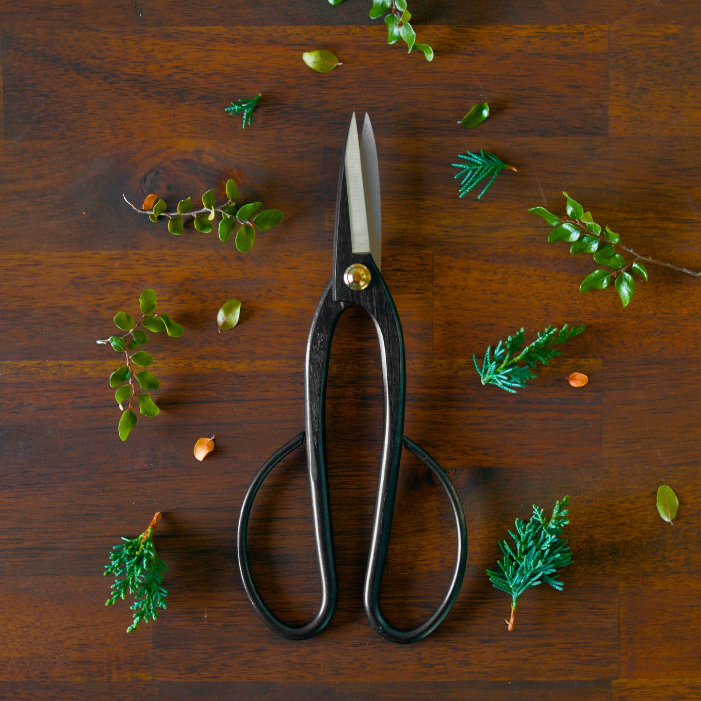WAZAKURA Ashinaga Scissors -Made in Japan