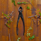 WAZAKURA Concave Branch Cutter -Made in Japan