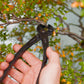 WAZAKURA Knob Cutter -Made in Japan