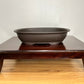 Hard Grade Plastic Bonsai Pot Oval 43cm
